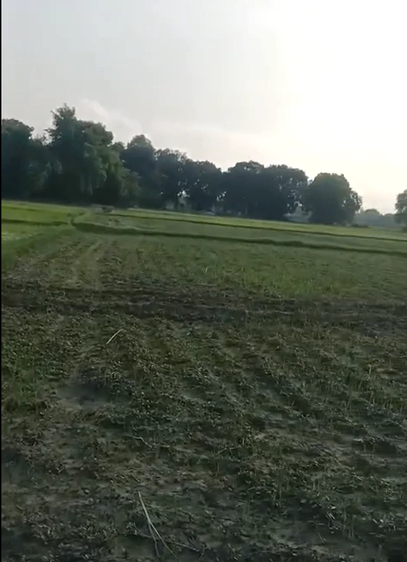 Gorihar, Chhatarpur, Madhya Pradesh 471516, India