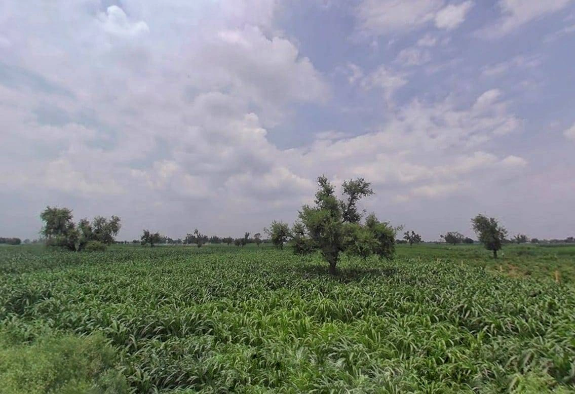 Bharatpur Rd, Semli, Rajasthan, India