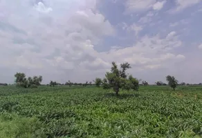 Bharatpur Rd, Semli, Rajasthan, India preview 3