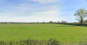 Tembhikalan, Madhya Pradesh 450771, India preview 3