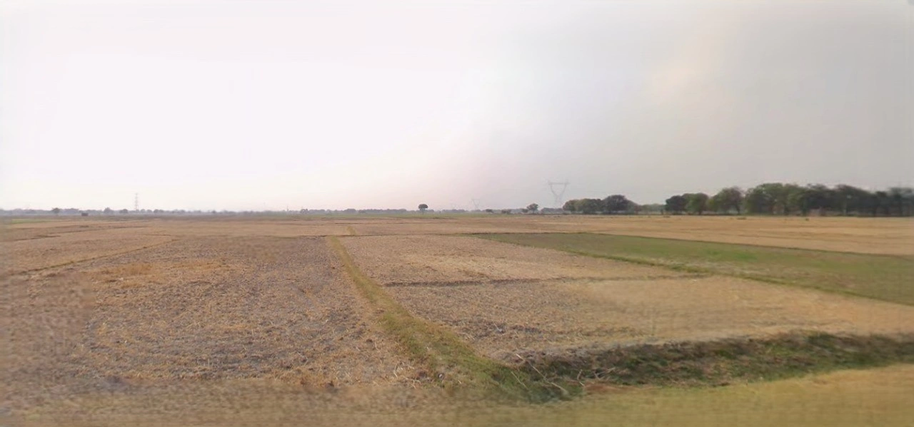 Charkhi Dadri, Haryana 127306, India
