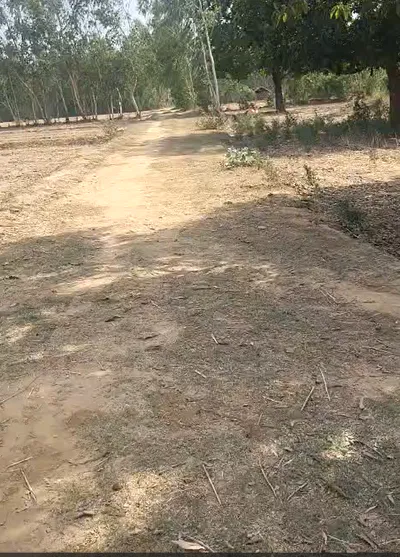 Khariberia, West Bengal 721635, India preview 2