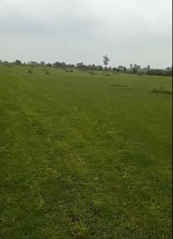 Borbawadiya, Khargone, Madhya Pradesh 451220, India