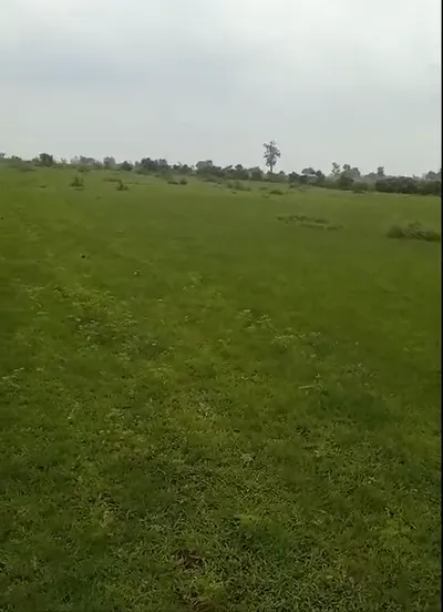 Borbawadiya, Khargone, Madhya Pradesh 451220, India preview 3