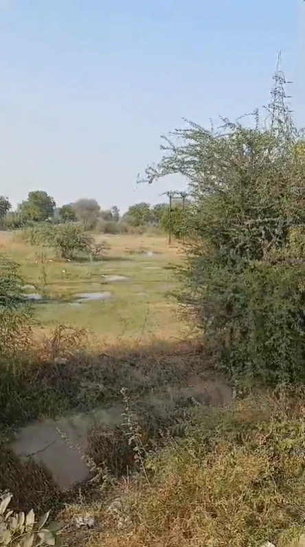 Sanadra, Gujarat, India