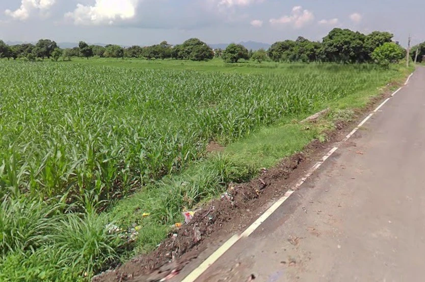 Bhauwala, Uttarakhand 248007, India