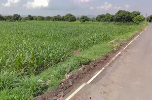 Bhauwala, Uttarakhand 248007, India preview 2