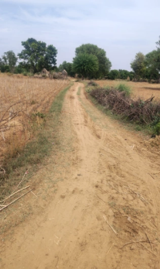 351, Gurgaon, Band Colony, Sohna, Sohna Rural, Haryana 122103, India