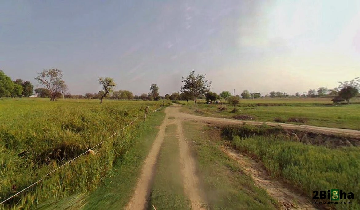 Chhatarpur, Madhya Pradesh 471001, India