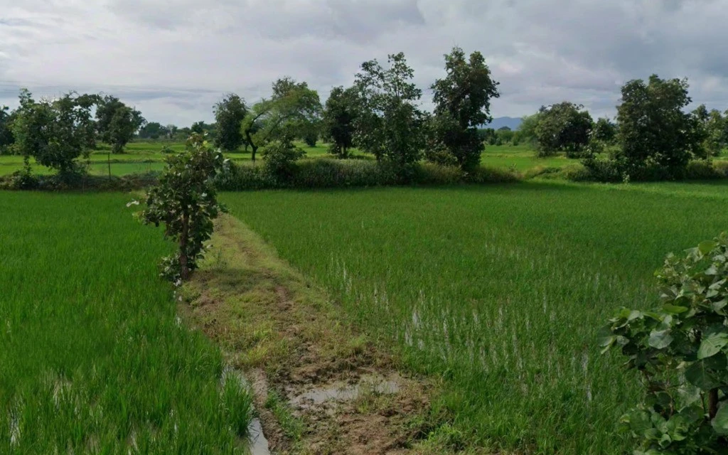 Kapsiya Kalan, Chhattisgarh 495112, India