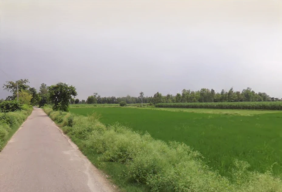 Lalpur Hamir, Uttar Pradesh 244001, India