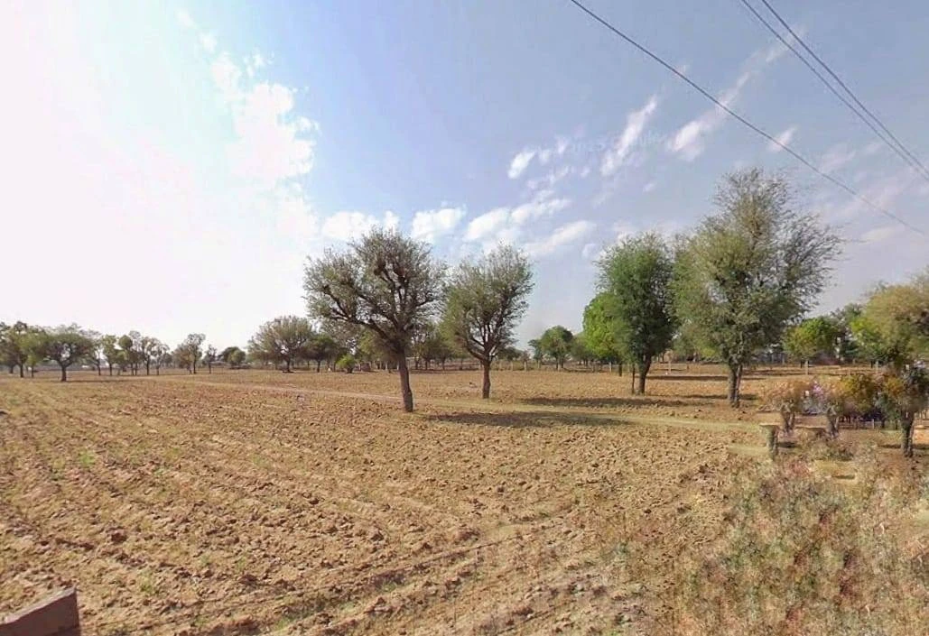 VJ2H+J8X, Jaipur, Theekariya, Rajasthan 302042, India