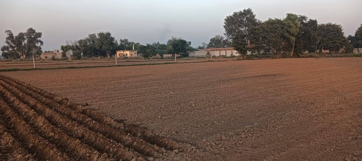 jaat house, 221, near bhomiya baba mandir, Ronpur, Rajasthan 301021, India