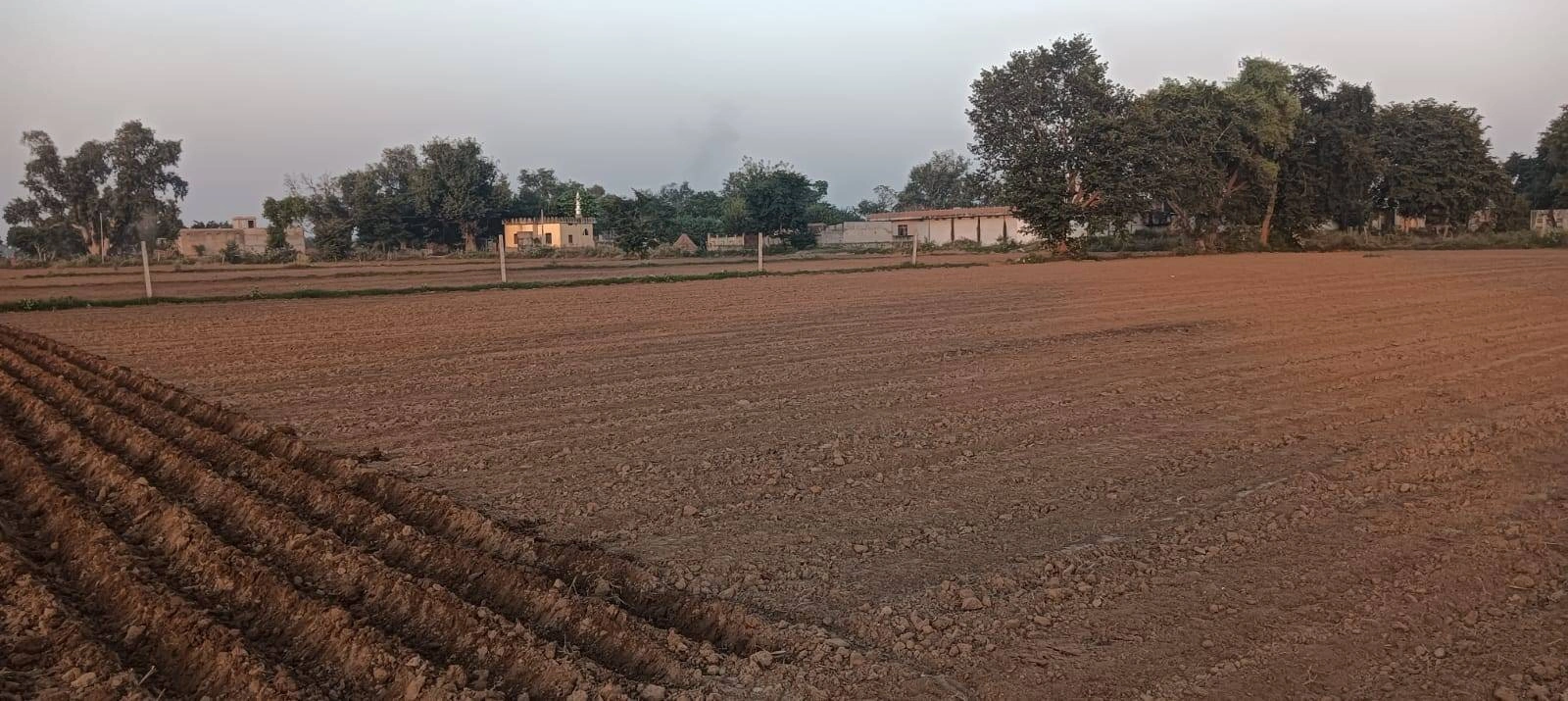 jaat house, 221, near bhomiya baba mandir, Ronpur, Rajasthan 301021, India