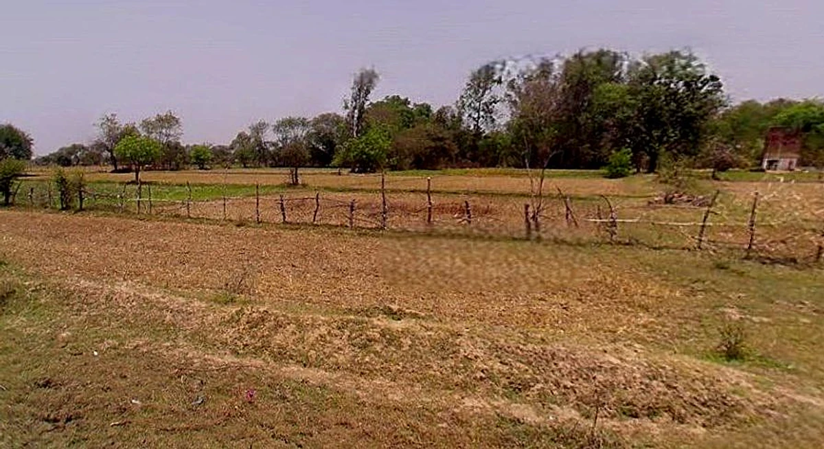 Barsana, Uttar Pradesh 281405, India