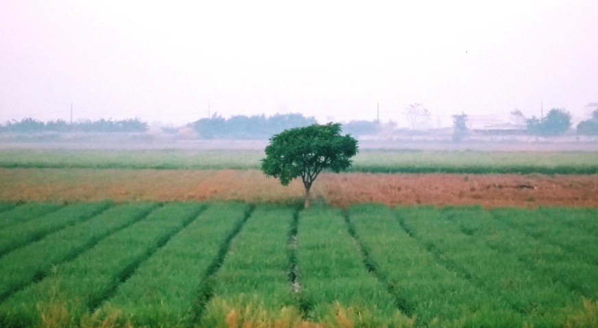 Sodepur, Kolkata, West Bengal, India preview 3