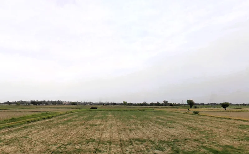 Sohna, Haryana 122103, India preview 2