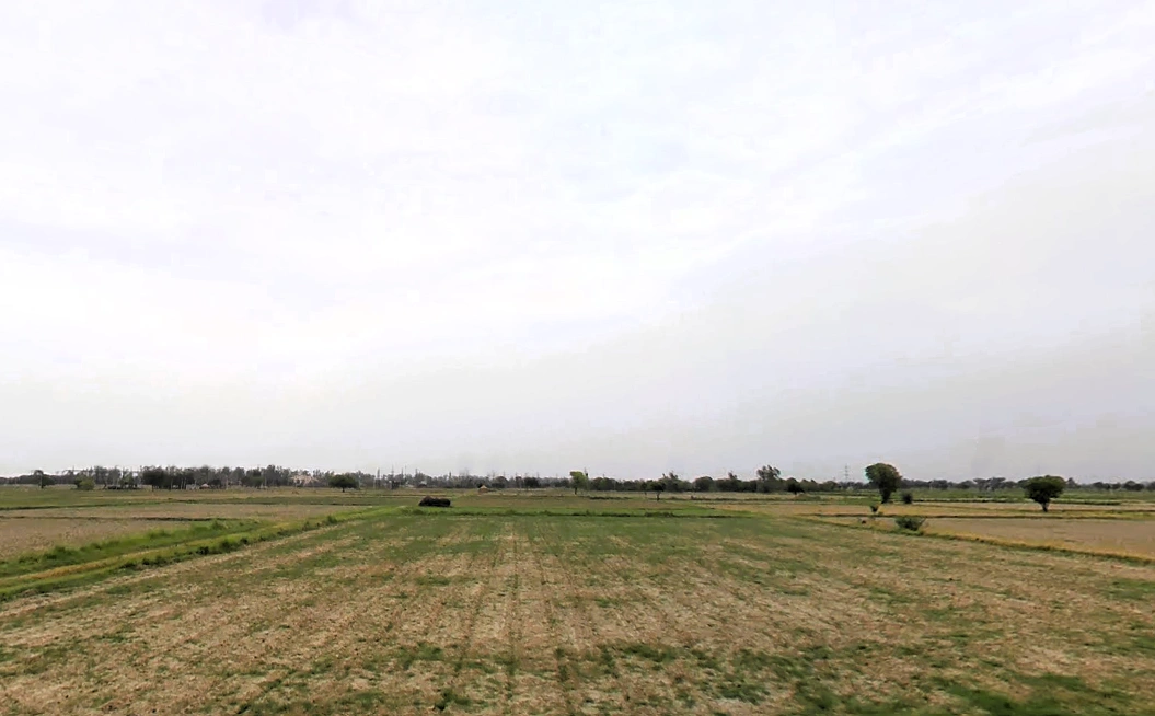 Sohna, Haryana 122103, India
