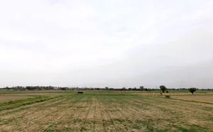 Sohna, Haryana 122103, India preview 2
