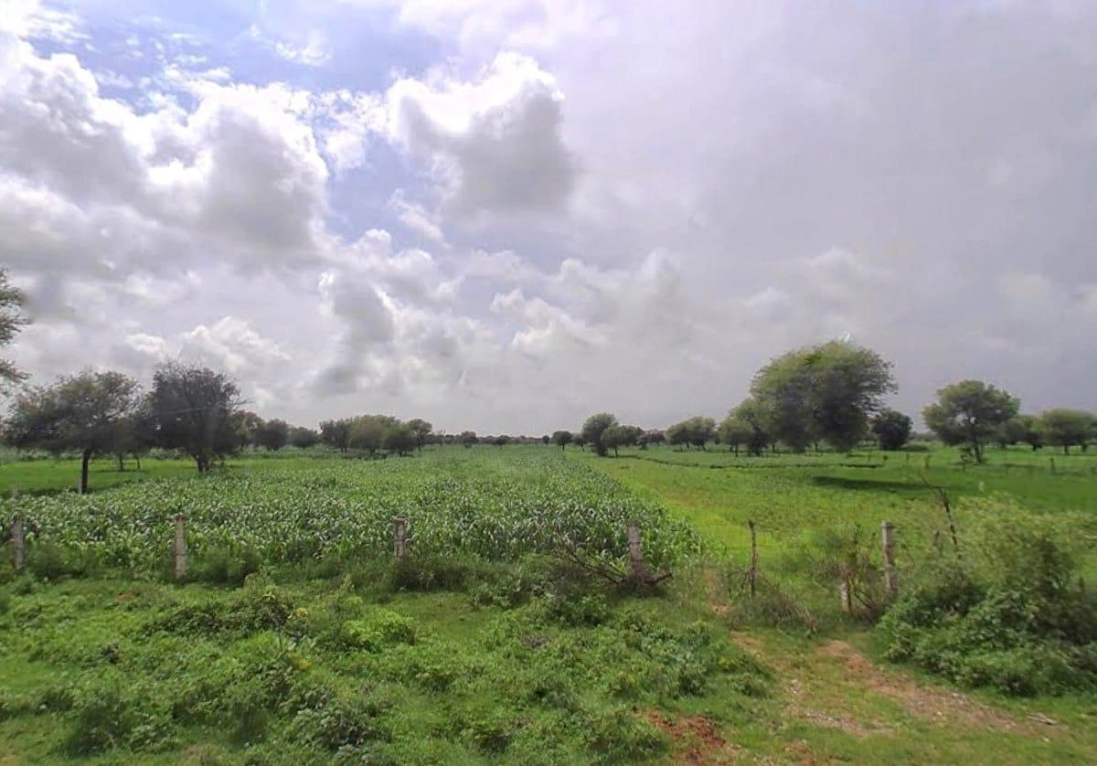 QJMJ+FR Kalwara, Rajasthan, India