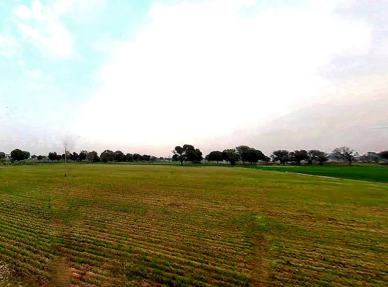 XHM8+P6J, Ramla Ka Bas, Rajasthan 303706, India preview 3