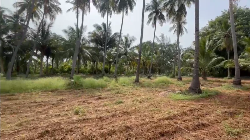 Madurai, Tamil Nadu, India preview 2