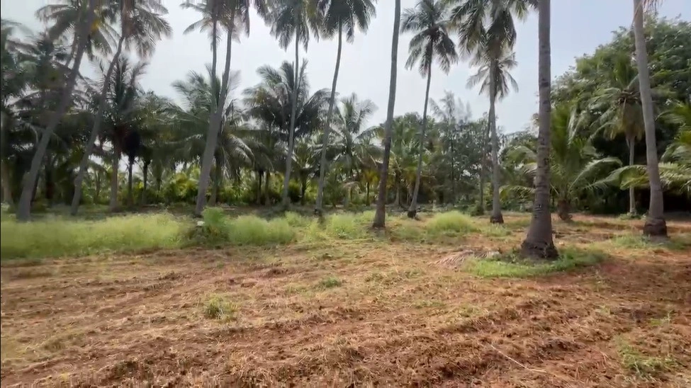 Madurai, Tamil Nadu, India