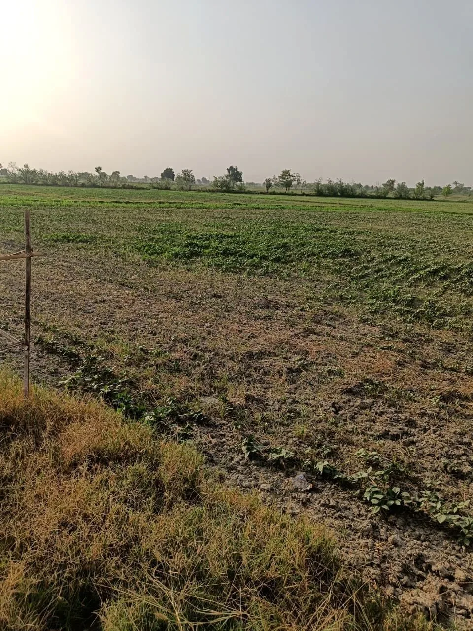 Gelpur, Rajasthan 301707, India