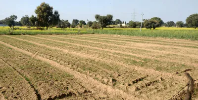 Chandigarh, India preview 3