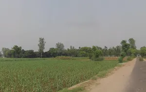 Mawana, Uttar Pradesh, India preview 2