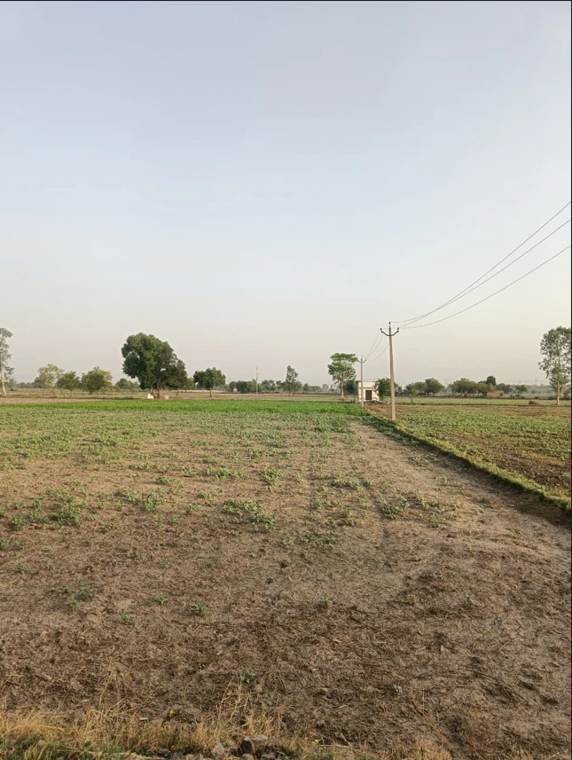 Sambhal Rd, Karula, Moradabad, Uttar Pradesh, India