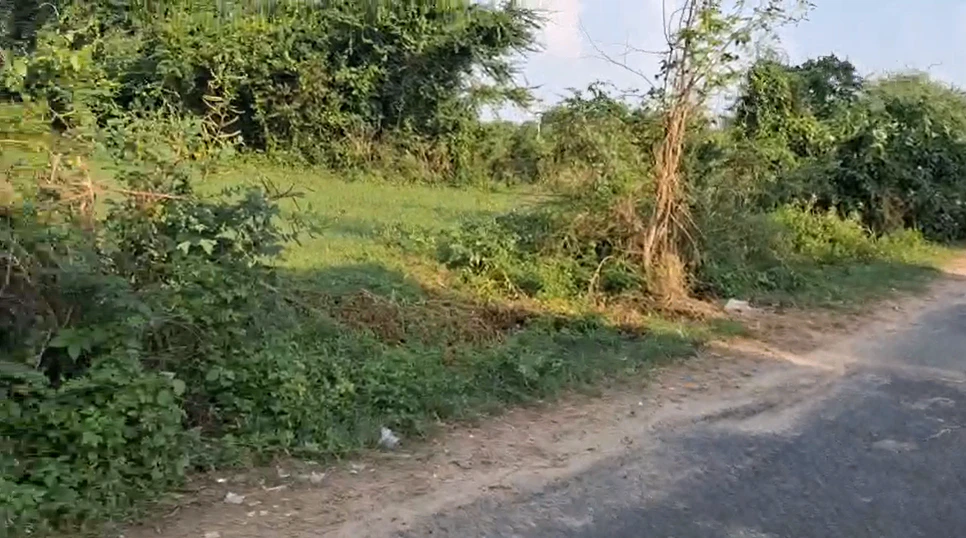 MRF6+2C4, Kheda, Pij, Gujarat 387230, India