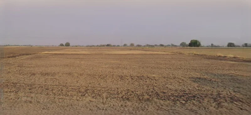 Sri Ganganagar, Rajasthan, India preview 2