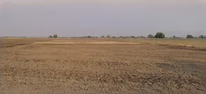 Sri Ganganagar, Rajasthan, India preview 2