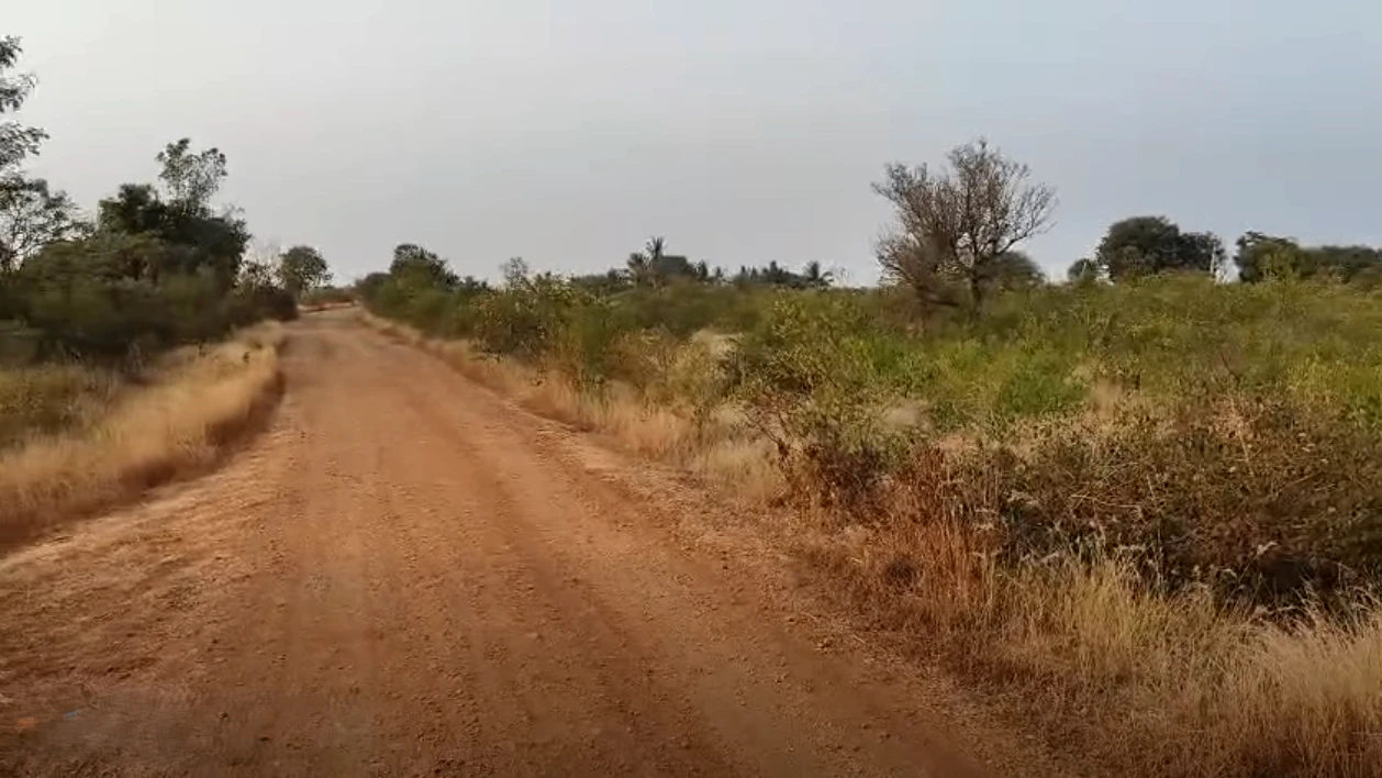 Ganadahunase, Karnataka 572115, India