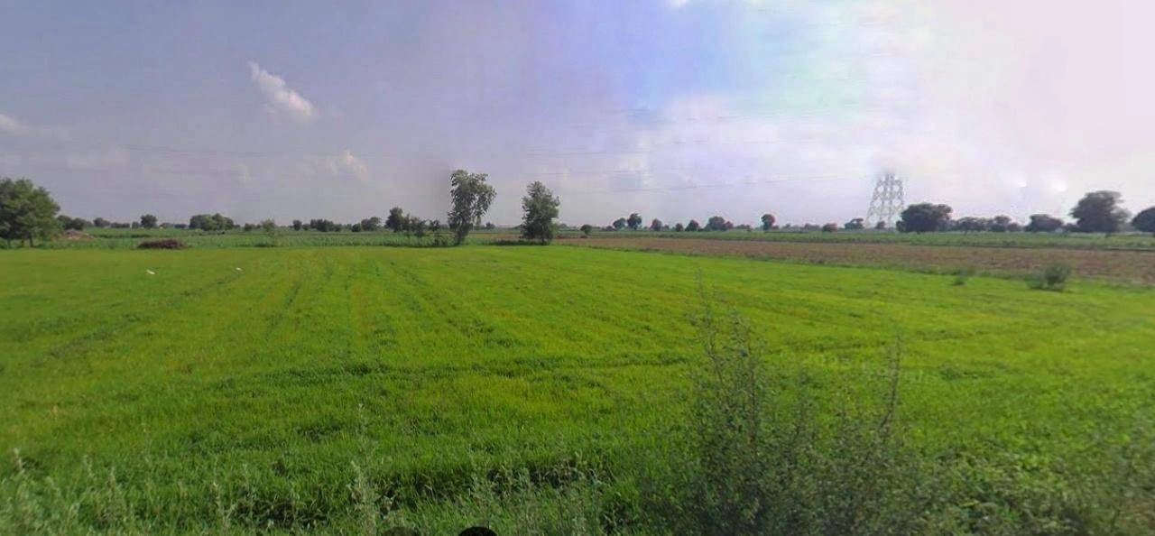 Jhajjar, Haryana 124103, India