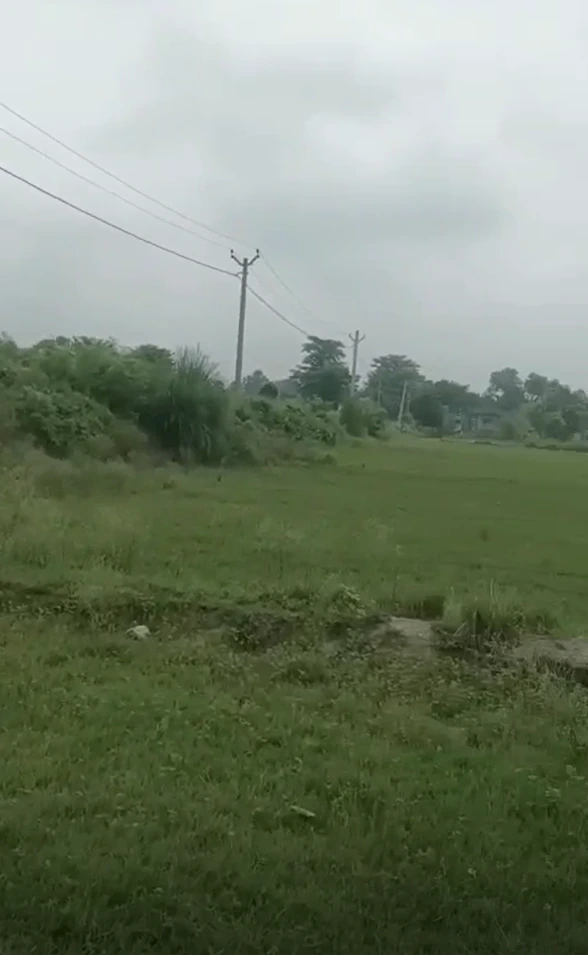 25VM+FC Gidha, Muzaffarpur, Bihar, India