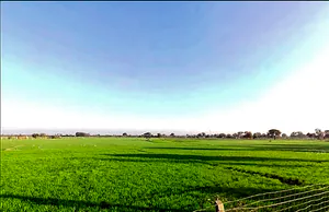 Mawana, Uttar Pradesh, India preview 2