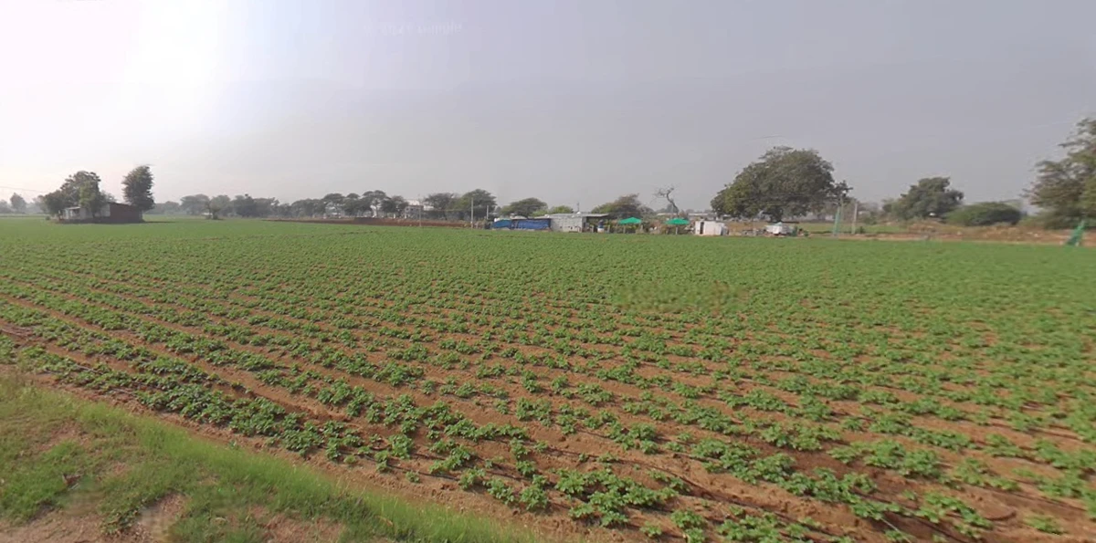 Manjusar, Gujarat, India