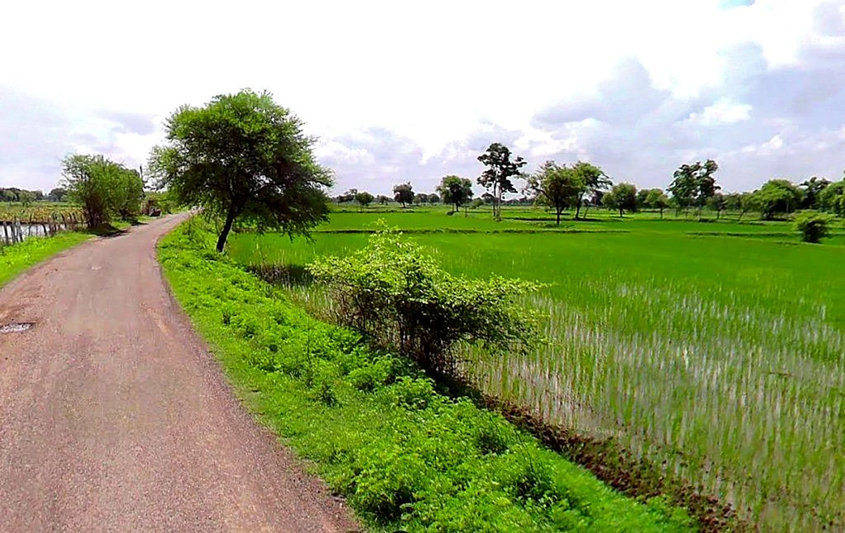 Chatuwa, Chhattisgarh, India