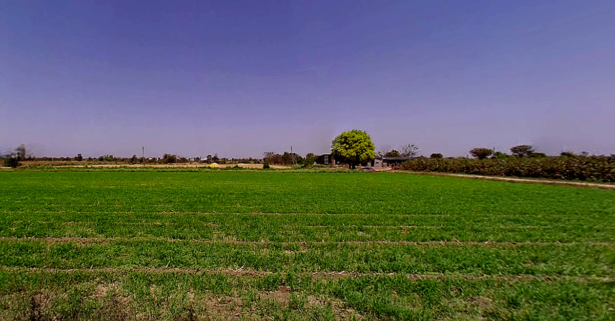 Dashela, Gujarat 382321, India