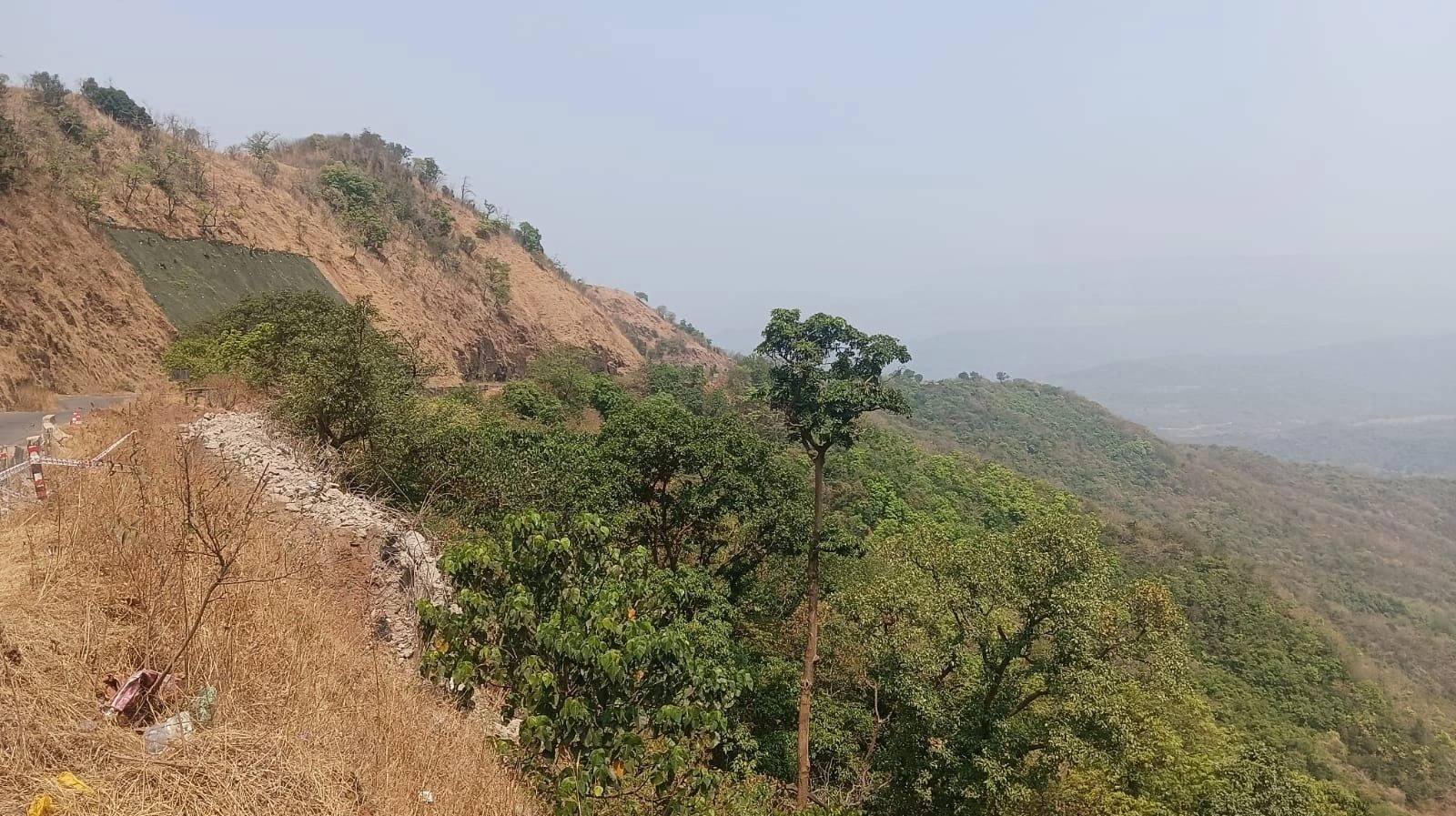 Ozare Budruk, Ratnagiri, Maharashtra, India - Photo 1
