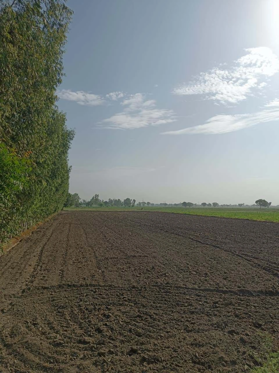 Gauhari, Uttar Pradesh 281401, India