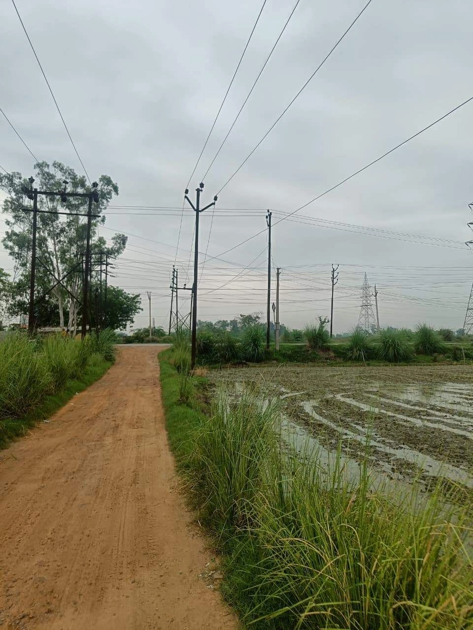 Bukharari, Mathura, Uttar Pradesh, India