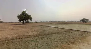 Dehradun, Uttarakhand, India preview 2