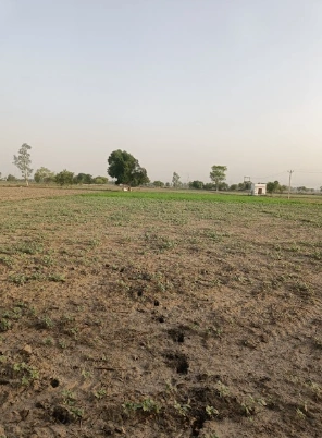 Barnagar, Madhya Pradesh 456771, India