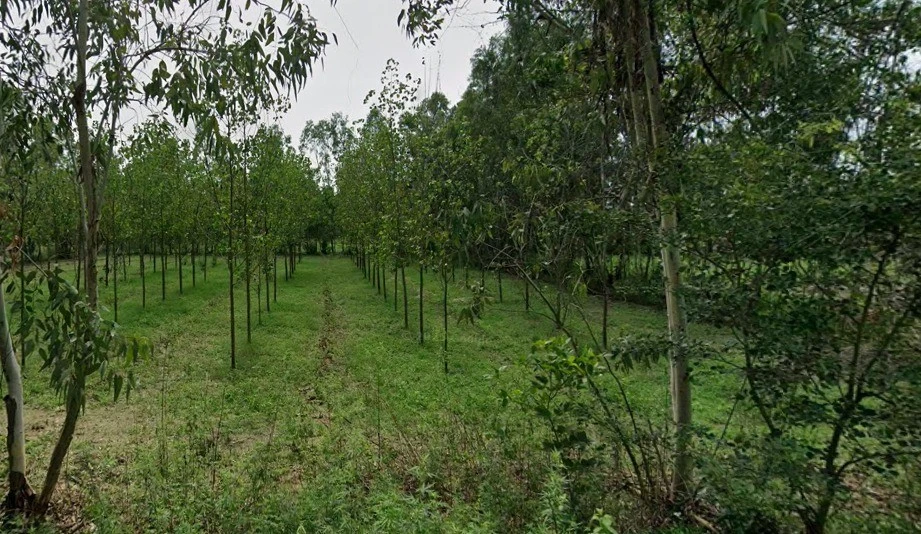 Bilari, Uttar Pradesh 244411, India