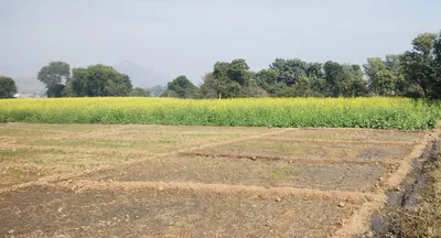 Rampura Phul, Punjab, India preview 3