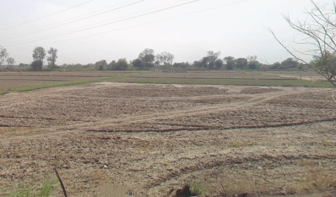 Kassar Rd, Kasaar, Haryana 124508, India