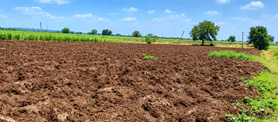 PG2H+PF Sathwar, Sangareddy, Telangana, India preview 2